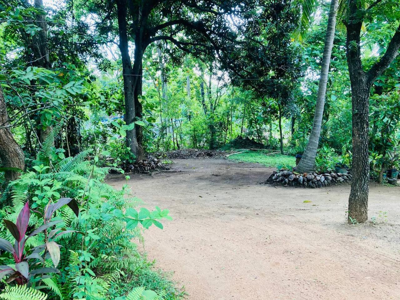 Sigiri Lodge Sigiriya Luaran gambar